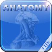 Human Anatomy I Lite 2.2