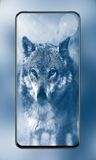 Cute Animal & Birds Wallpaper in 4K - AnimalWallp screenshot 3
