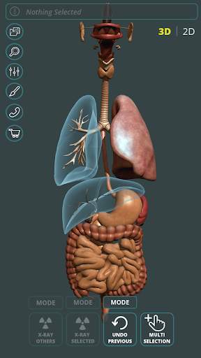 Visual Anatomy 3D | Human screenshot 4