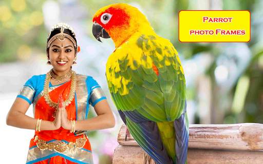 Parrot Photo Frames screenshot 2
