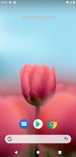 3D Tulip Live Wallpaper screenshot 2