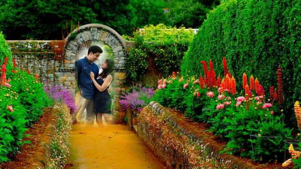 Garden Photo Frames 4 تصوير الشاشة