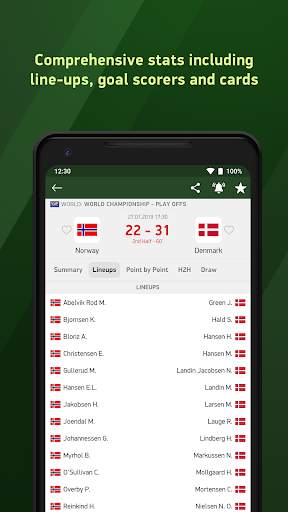 Handball24 - live scores screenshot 3