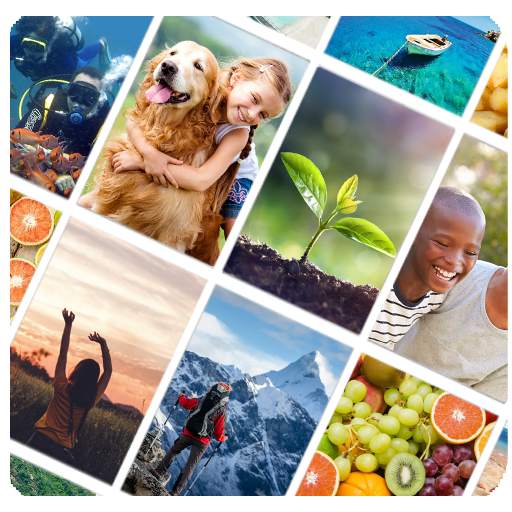 Picture Quiz: World 1.6.5