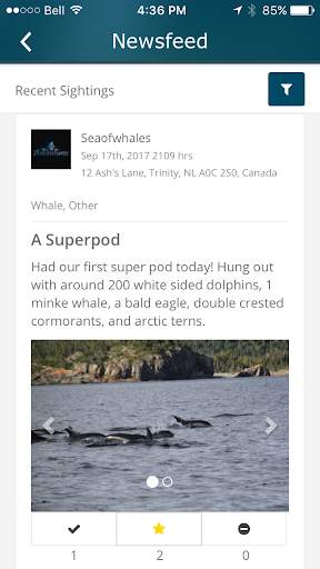 Iceberg Alley - Sightings screenshot 3