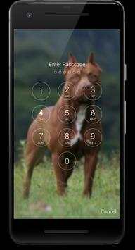 Pitbull Dog HD Lock Screen screenshot 6
