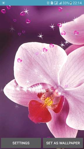 Orchid Live Wallpapers screenshot 3