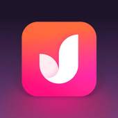 UR Browser 1.0