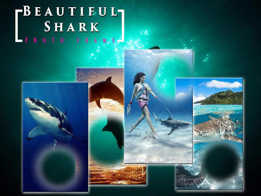 Beautiful Shark Photo Frame screenshot 4