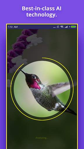 Bird Identifier screenshot 4