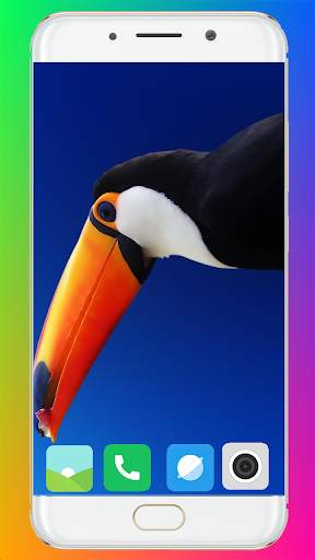 Toucan Bird HD Wallpaper Full HD screenshot 6