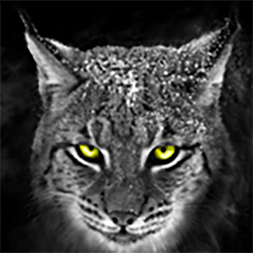 SMART LUXX icon