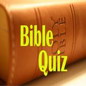 The Bible App Questions 1.0