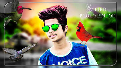 Bird Photo Editor screenshot 3