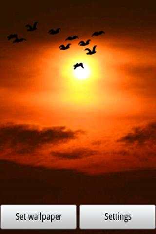 DayNight Multi Live Wallpaper screenshot 5