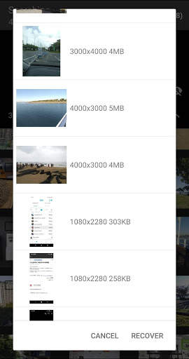 Photo Recovery screenshot 3