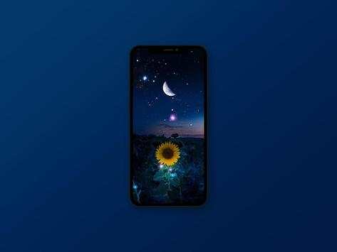 Sunflower Wallpaper screenshot 4