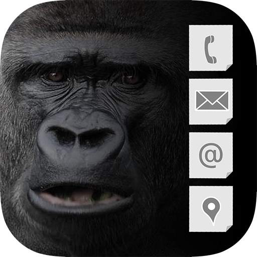 King Contact 1.0.0