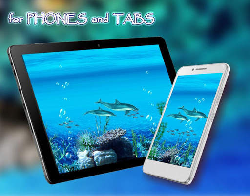 Dolphins Sounds Live Wallpaper screenshot 8