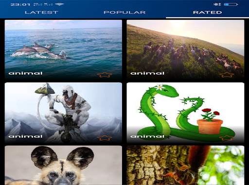 animals Wallpapers screenshot 7