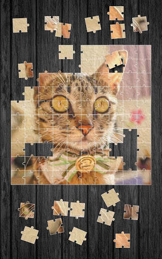 Cute Cats Jigsaw Puzzle screenshot 7