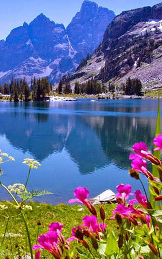 HD Nature Live Wallpaper screenshot 8