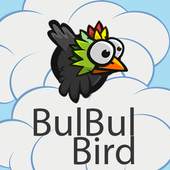 BulBul Bird 1