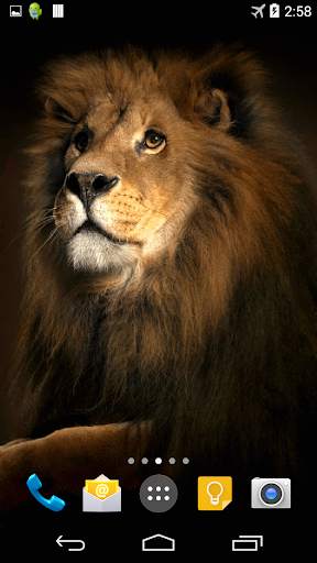 Lion 3D Live Wallpaper screenshot 2