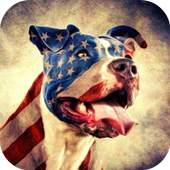 Pitbull Dog HD Lock Screen 1.0