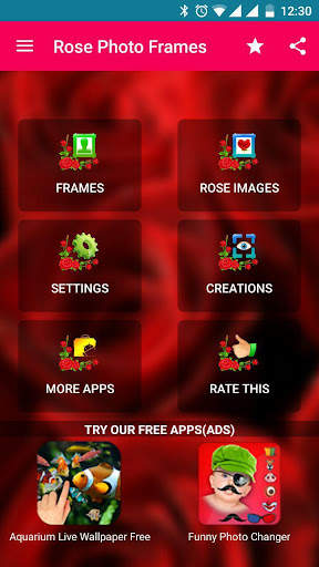 Rose Photo Frames HD screenshot 11
