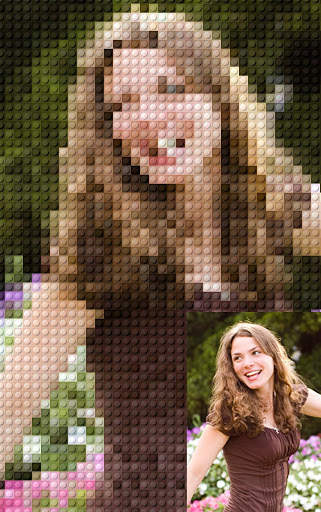 Pic2Pix - Picture to Pixel Art 5 تصوير الشاشة