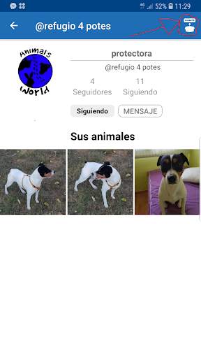 Animal's World Mascotas screenshot 3