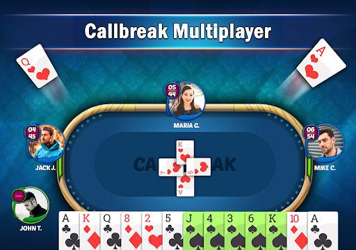 Callbreak Star - Card Game screenshot 17