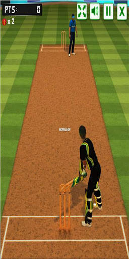 Cricket screenshot 4