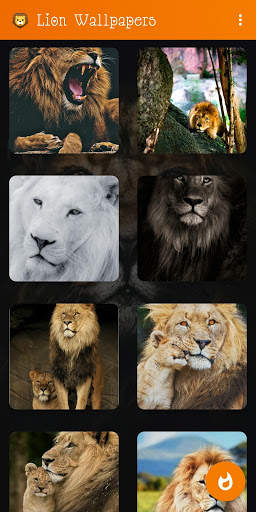 🦁 Lion Wallpaper : Wild King Backgrounds screenshot 17