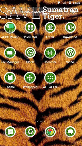 Wild Tiger -APUS Launcher theme screenshot 2
