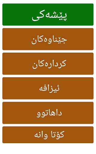 Learn Kurmanji Kurdish 3 تصوير الشاشة