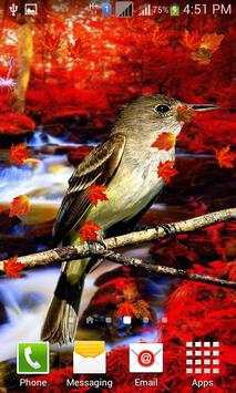 Cute Birds Live Wallpaper screenshot 6