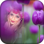 Purple Tulip Photo Frames icon