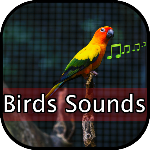 Birds Sounds Ringtones &amp; Wallpapers HD - OFFLINE icon