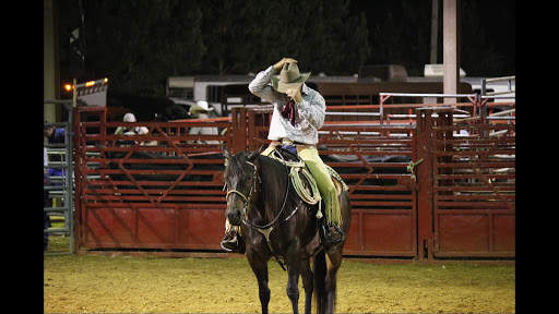 RODEO STYLE WALLPAPER screenshot 3