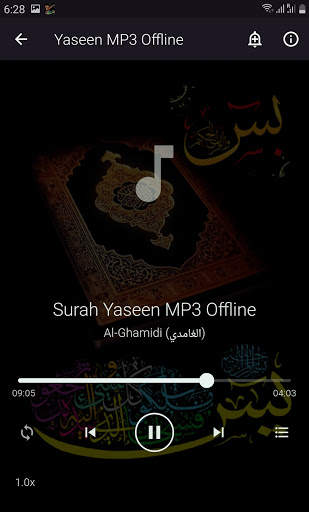 Yaseen MP3 Offline screenshot 5