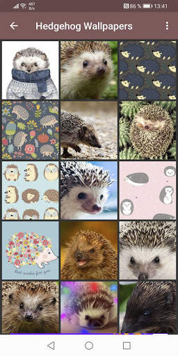Hedgehog Wallpapers screenshot 1