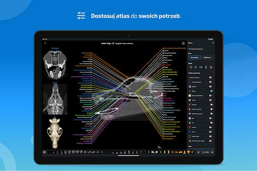 vet-Anatomy screenshot 14