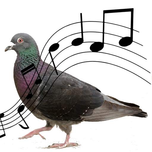 Sonidos de Palomas 2.0