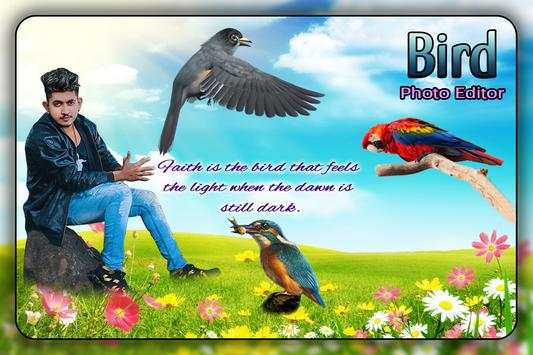 Bird Photo Editor screenshot 3