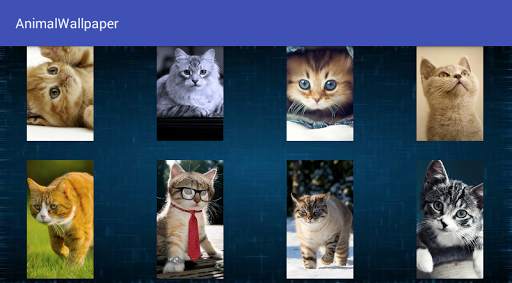 Animal Wallpaper screenshot 10