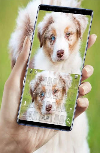Shepherd Dog Keyboard screenshot 5