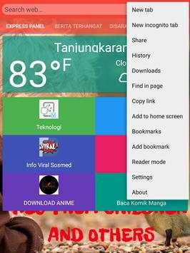 Fast Browser Pro screenshot 3