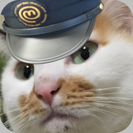 MOMO navi icon